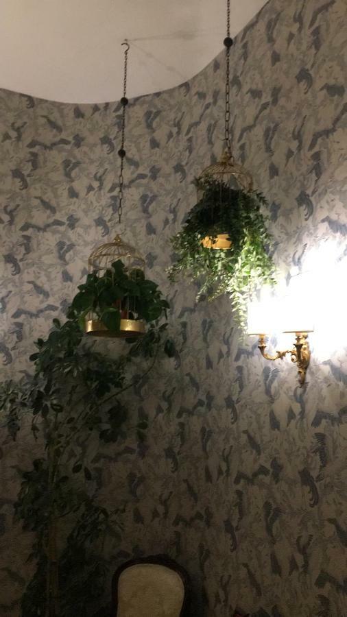 Beeclaire Guest House 팔레르모 외부 사진